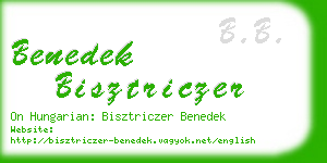 benedek bisztriczer business card